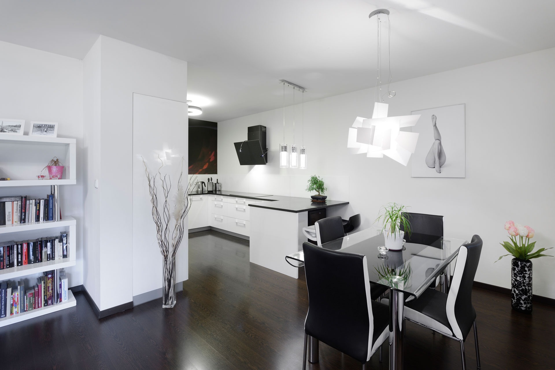 Hanák nábytek Ukázka realizace kuchyně Bílý lak Single byt